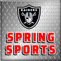 SpringSports